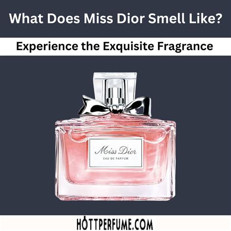 diffuseur de parfum dior|what does miss dior perfume smell like.